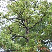 02.10.2005 17-48-58_0037 